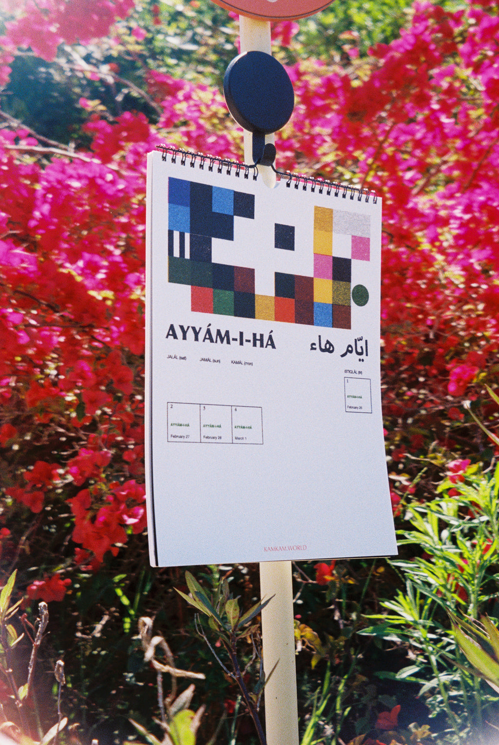 183 Badí Calendar